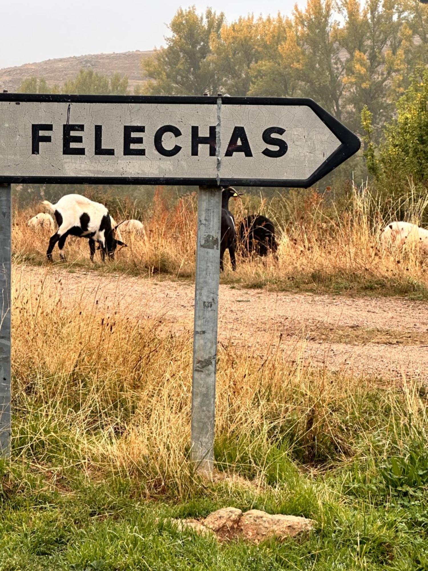Los Tres Horreos Felechas Exterior foto