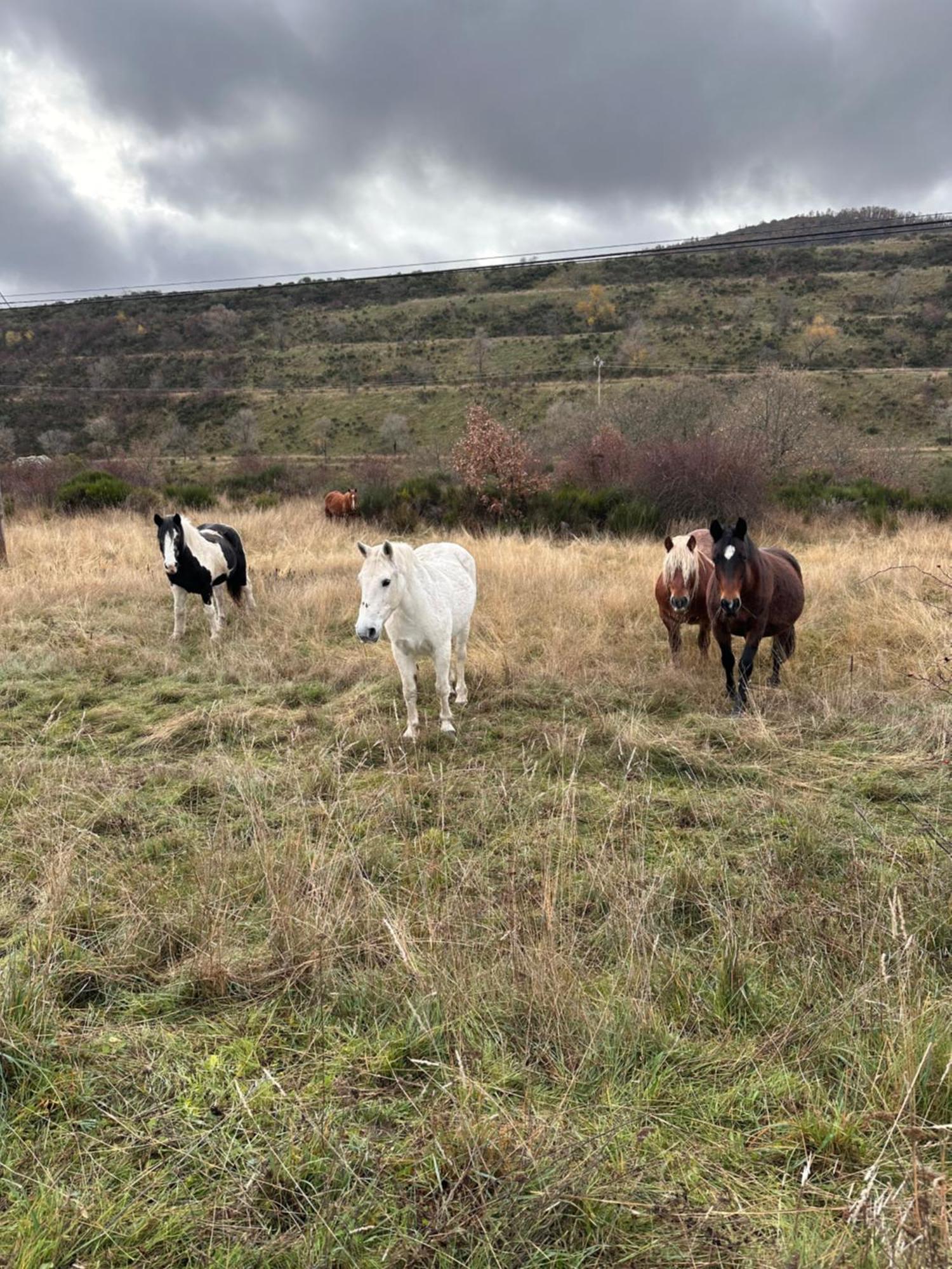 Los Tres Horreos Felechas Exterior foto